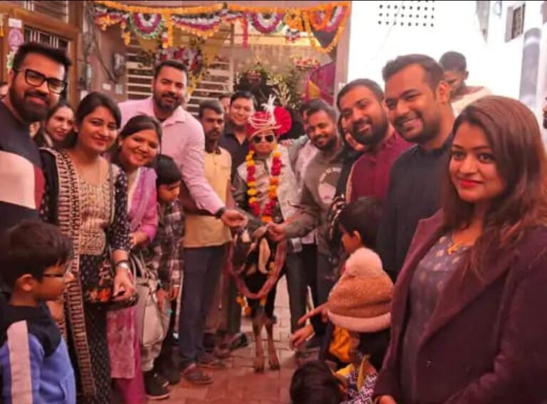 बकरे पर निकली 12 साल के बच्चे की बारात