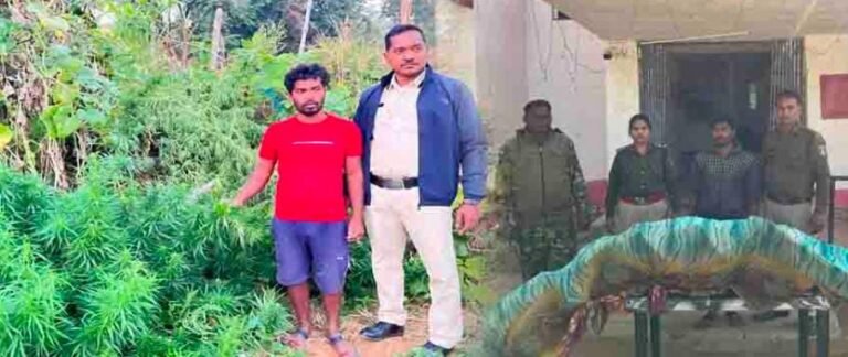 नशे के विरूद्ध जशपुर पुलिस की बड़ी कार्यवाही।