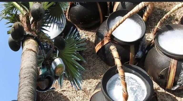 जशपुर जिले में आचार संहिता का खुलेआम उल्लंघन