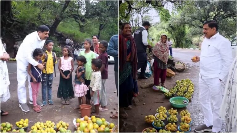 पचमढ़ी : सड़क किनारे बसंती से खरीदी आम की टोकरी,रसीले आम देख मोहन यादव का ललचाया मन