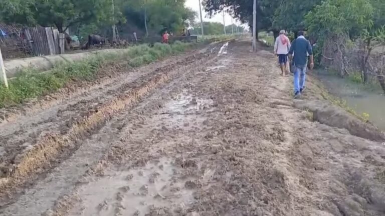 रीवा की महना नदी ने डुबाया पुल, ऑटो से अस्पताल जा रही गर्भवती की मौत