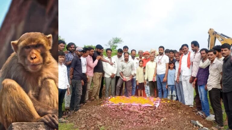 रतलाम में बंदर के लिए पूरे गांव को मृत्युभोज, पूरे विधि विधान से होगी तेरहवीं