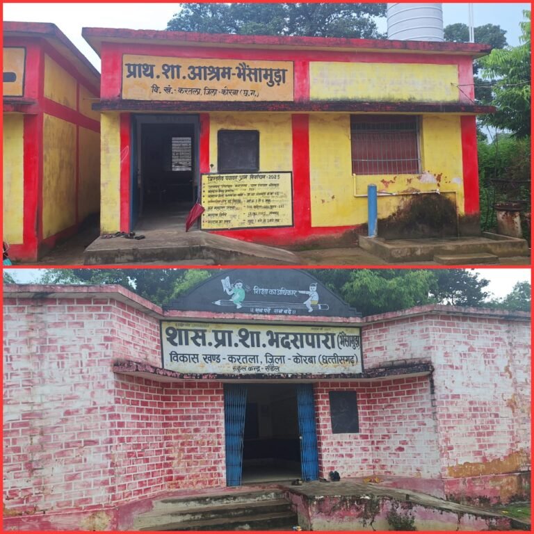 एकल शिक्षकीय विद्यालय भैंसामुड़ा में नियुक्त हुई शिक्षिका