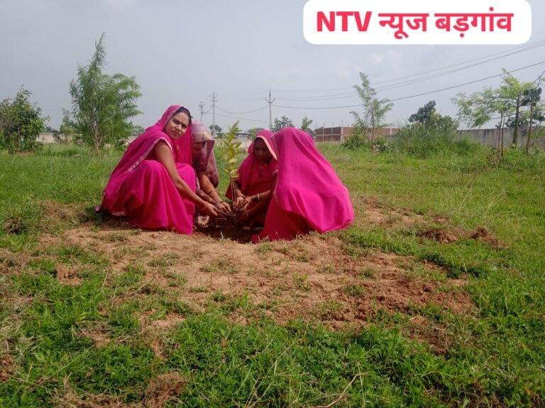 नारी के सम्मान में समूह की बहनों ने अनेकों फलदायक पेड़लगाय बड़गांव मे