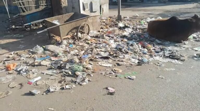 नगर गौरव दिवस की चकाचौंध में लुटा नगर पालिका का खजाना, आज दंश झेल रहे सफाई कर्मचारी