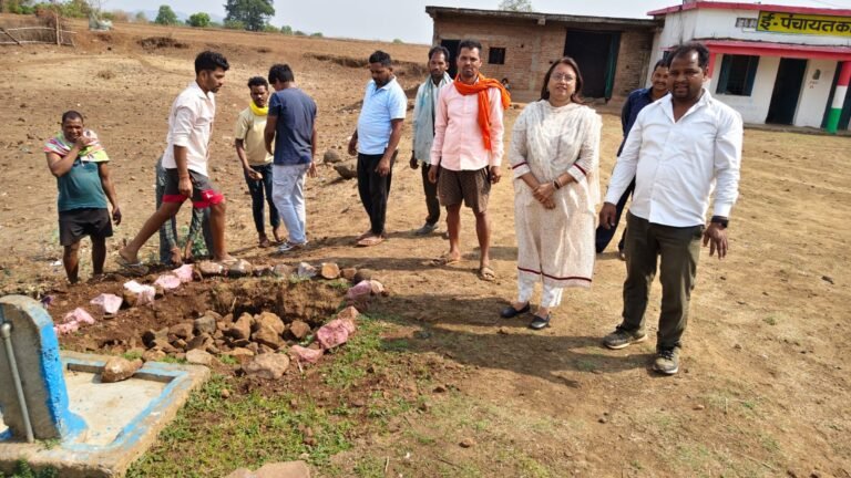 कलेक्टर ने विभिन्न ग्राम पंचायतों का निरीक्षण कर योजनाओं की समीक्षा की