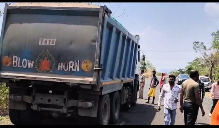 रेत माफियाओं की बेलगाम रफ्तार बनी जानलेवा: ओवरलोड हाईवा ने ली चार बेजुबानों की जान