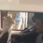 तमिलनाडु में ₹100 करोड़ का बड़ा घोटाला: पार्टी फंड के बदले प्राइवेट स्कूलों को बांटी मान्यता, पूर्व मंत्री गिरफ्तार